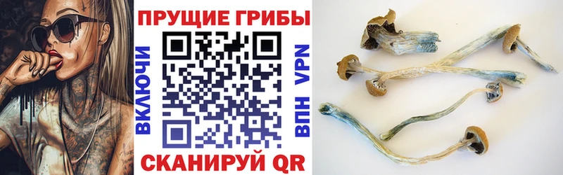 купить  цена  Мариинский Посад  Псилоцибиновые грибы мухоморы 